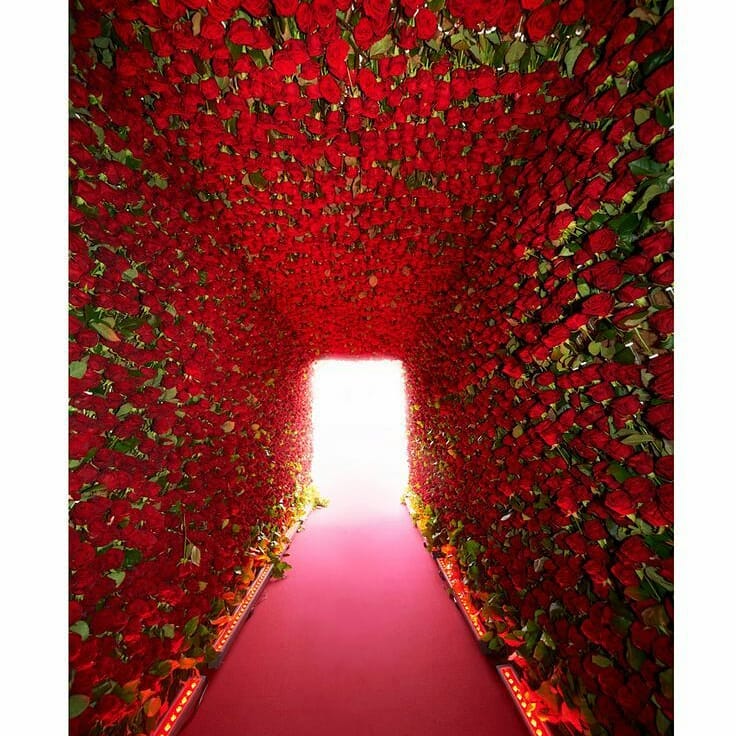 47693014 343066863088070 5760211028839173742 n - @jeffleatham does floral wonders . This floral hallway inspo is perfect for the ...