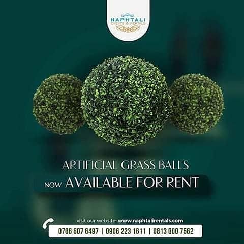 72270703 3556405447710434 8708500168330698964 n - Make your parties more elegant and attractive with our artificial grass balls. Grass balls are used ...