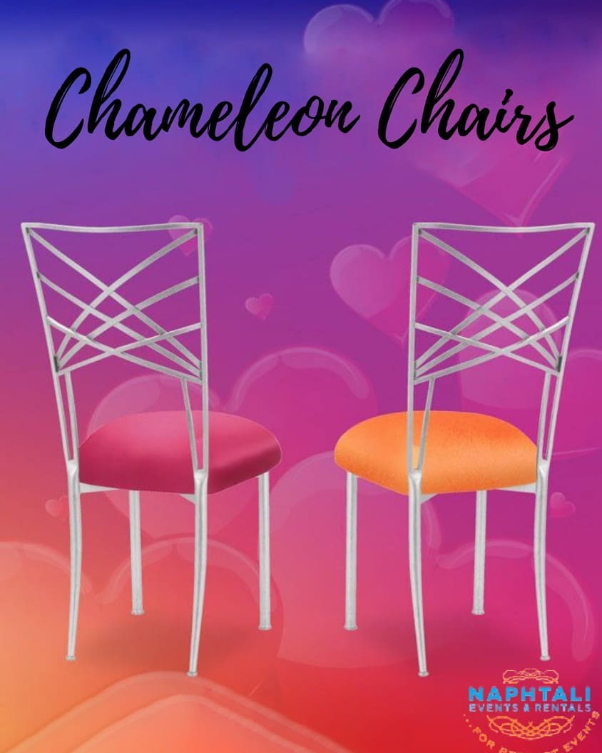 159196791 184476643211021 9174881370703533271 n - Have a seat in our Gold Fanfare Chameleon Chair!  These highly sought-after chairs are exclusive ite...
