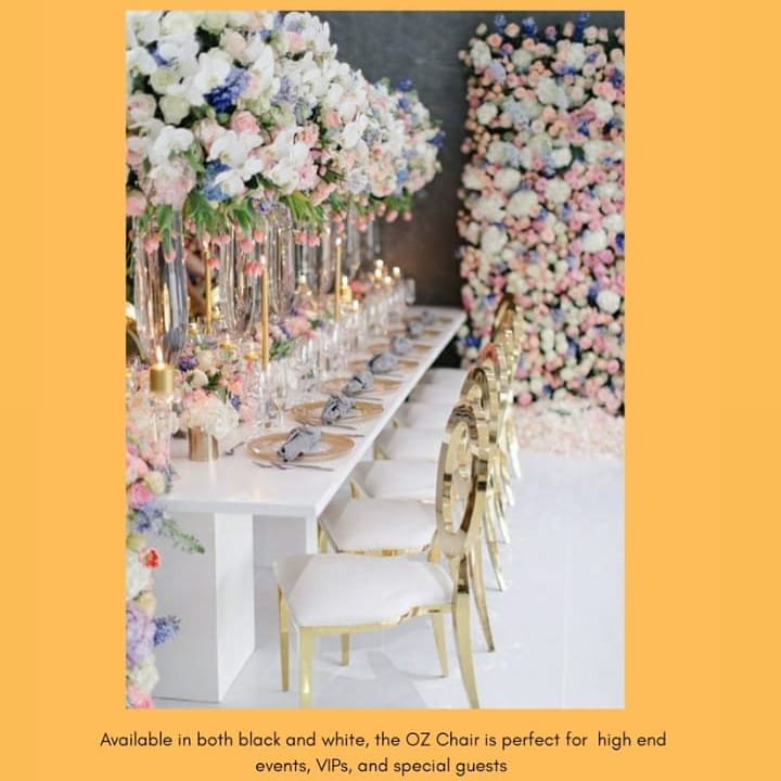 240476785 1425459171164336 7757427797465955144 n - Oz chairs are perfect for high end events, VIPs and special guests

Available in black and white. Pl...